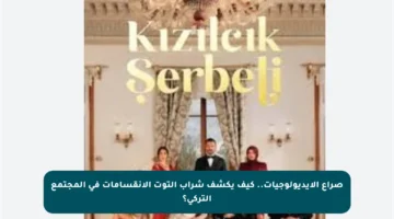 صراع الأيديولوجيات.. كيف يكشف شراب التوت الانقسامات في المجتمع التركي؟